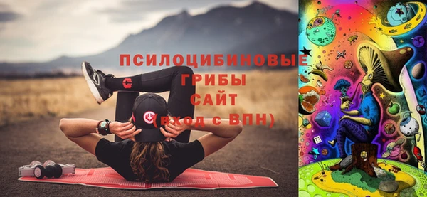 спиды Алзамай